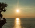 Palm tree shadow at sunset time Royalty Free Stock Photo