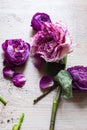 Tulips ÃÂ¸ouquet of flowers on a leg in the interior of the restaurant for a celebration shop floristry or wedding salon