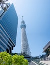 The most beautiful Viewpoint Tokyo tower in tokyo city ,japan