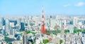 The most beautiful Viewpoint Tokyo tower in tokyo city ,japan