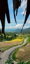 winding road on clear daylight under the Priangan hill of West Sumatra