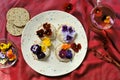 Edible flowers snacks with flower tea as a healthy and happy breakfast on a red background
