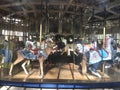 The Herschel-Spillman Carousel at the Koret Children`s Playground Golden Gate Park 4 Royalty Free Stock Photo