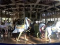 The Herschel-Spillman Carousel at the Koret Children`s Playground Golden Gate Park 3 Royalty Free Stock Photo
