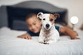 The most faithful friend youll find. an adorable little boy playing with his pet dog on the bed at home. Royalty Free Stock Photo