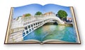 The most famous bridge in Dublin called Half penny bridge due to the toll charged for the passage - 3D render opened photo book is