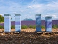 Lavender field and bee hives of Provence