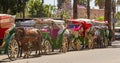 Carriages in the Jemaa el-Fnaa square in Marrakech, Morocco Royalty Free Stock Photo