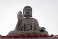 The most large sitting Buddha statue in the word on a lotus flower