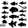 Most popular aquarium fish silhouettes Royalty Free Stock Photo