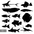 Most popular aquarium fish silhouettes Royalty Free Stock Photo