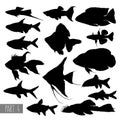 Most popular aquarium fish silhouettes Royalty Free Stock Photo