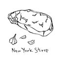 Most Popular Steak New York Strip. Beef Cut. Meat Guide for Butcher Shop or Steak House Restaurant Menu. Hand Drawn Illustration.