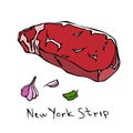 Most Popular Steak New York Strip. Beef Cut. Meat Guide for Butcher Shop or Steak House Restaurant Menu. Hand Drawn Illustration.