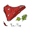 Most Popular Steak Tri-Tip. Beef Cut. Meat Guide for Butcher Shop or Steak House Restaurant Menu. Hand Drawn Illustration. Savoyar