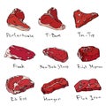 Most Popular Steak Types Set. Beef Cuts. Top Meat Guide for Butcher Shop or Steak House Restaurant Menu. Hand Drawn Illustration.