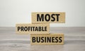 most profitable business , business, financial concept. For business planning Royalty Free Stock Photo