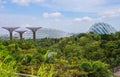 Singapore, Giant trees by the Bay.Futuristic gardens of Singapore.