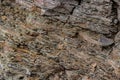 Most of the rocks exposed at the surface of Earth are sedimentary rock. Sedimentary rocks are formed particle by particle and bed Royalty Free Stock Photo