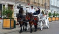 The most romantic way to tour Krakow is by the horse-drawn carriages