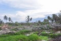 The Most Severe Damage Earthquake Liquefaction Petobo Central Sulawesi Royalty Free Stock Photo