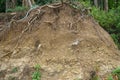 Soil Horizon layers. O is humus or organic, A is topsoil, B is subsoil, C is parent material and R is bedrock.