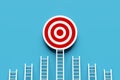 Most successful and efficient way to achieve the target goals. Challenge and competition in achieving goals or objectives