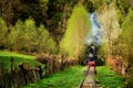 Steam train named Mocanita in Vaser Valley, Maramures, Romania. in spring time Royalty Free Stock Photo