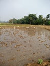 Most of the well water Louisiana