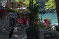 Mostar, Stari Most, Old Bridge, Bosnia and Herzegovina, Europe, old city, restaurant, architecture, walking, skyline, cat Royalty Free Stock Photo