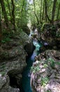 Mostnica gorge 2, Mostnica korita, Slovenia