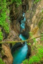 Mostnica gorge near Bohinj in Slovenia