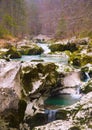 Mostnice gorge Royalty Free Stock Photo