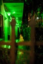 Motel alley green light