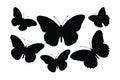 Moth and butterfly black and white silhouette vector bundle. Wild butterflies flying silhouette set design. Monarch standing and Royalty Free Stock Photo