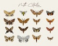 Moth collection, hand draw sketch vector Royalty Free Stock Photo