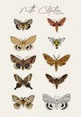 Moth collection, hand draw sketch vector Royalty Free Stock Photo