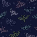 Moth Collection Vector Linear pattern