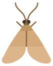 Moth color icon. Flying insect. Nature symbol