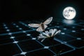 Moth Above a Daisy on a Solar Panel at Night, generative ai Royalty Free Stock Photo