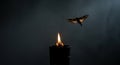 Moth hovering over flickering candle flame in dark atmosphere Royalty Free Stock Photo