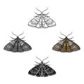 Moth icon in cartoon,black style isolated on white background. Insects symbol stock vector illustration. Royalty Free Stock Photo