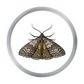 Moth icon in cartoon style isolated on white background. Insects symbol stock vector illustration. Royalty Free Stock Photo