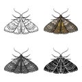 Moth icon in cartoon style isolated on white background. Insects symbol stock vector illustration. Royalty Free Stock Photo