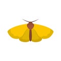 Moth icon, flat style.