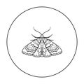 Moth icon in outline style isolated on white background. Insects symbol stock vector illustration.