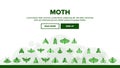 Moth, Insects Entomologist Collection Vector Linear Icons Set Royalty Free Stock Photo