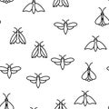 Moth, Insects Entomologist Seamless Pattern Vector