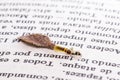 Moth larva in cocoon on old book, feeding on paper or cellulose, macro photo of urban pest, lack of hygiene, humid environment, Royalty Free Stock Photo