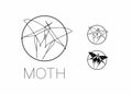 Moth - logo concept.